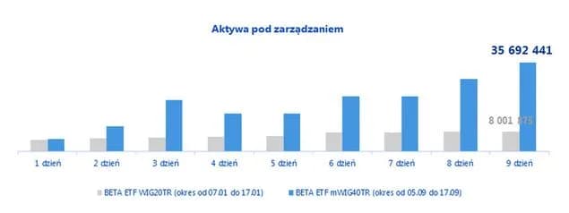 Beta ETF mWIG40TR: Co to jest i jak w niego inwestować?