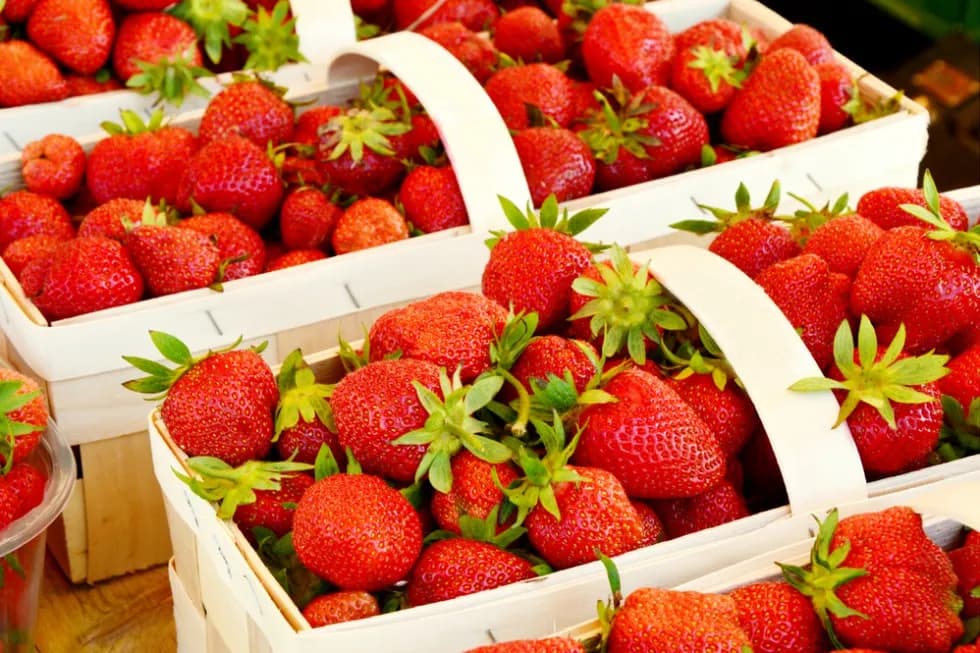 Ile można zarobić na zbiorze truskawek? Realne stawki i zarobki