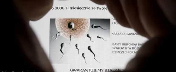 Ile zarobisz na oddaniu spermy? Poznaj realne stawki w Polsce