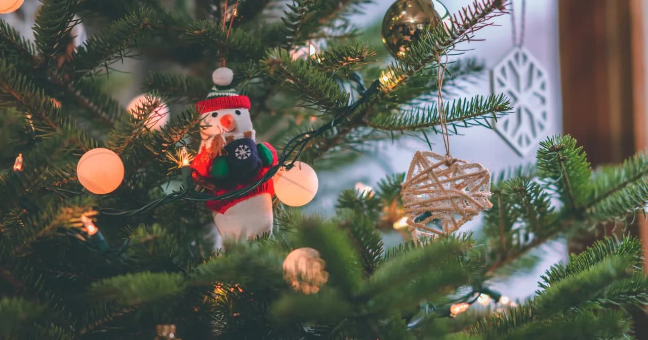 Ile można zarobić na choinkach? Poznaj realne zyski i możliwości