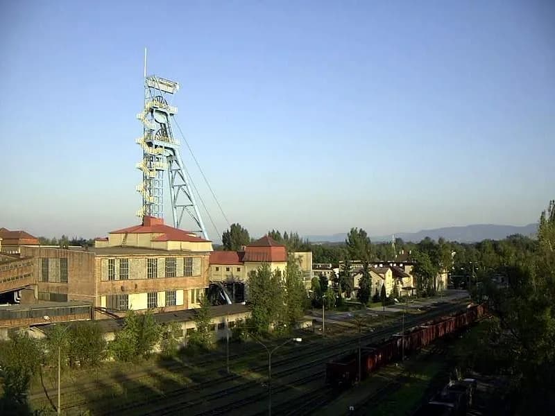 Opinie PG Silesia: Co mówią klienci o produktach PG Silesia?